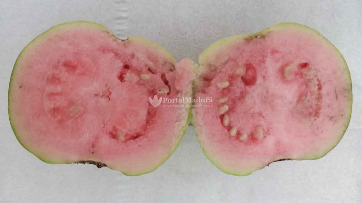 Jambu Biji Merah Perkuat Daya Tahan Tubuh