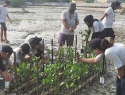 Awali Hari Gerakan Menanam Sejuta Pohon, Mahasiswa dan Pokmaswas Reng Paseser Tanam Mangrove