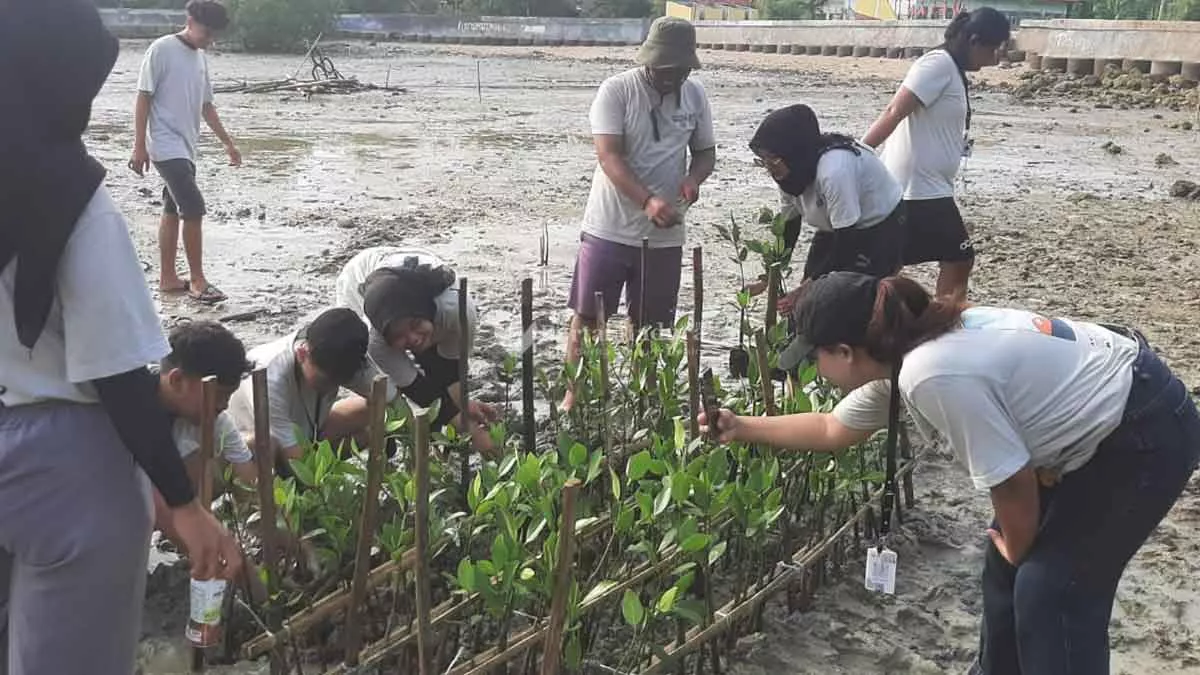 Awali Hari Gerakan Menanam Sejuta Pohon, Mahasiswa dan Pokmaswas Reng Paseser Tanam Mangrove