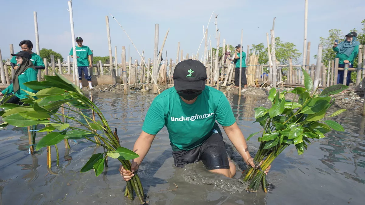 Dukungan Lindungihutan Untuk Sdgs - Portalmadura.com Dukungan LindungiHutan untuk SDGs