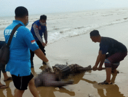 Nelayan Pamekasan Ditemukan Tewas di Pantai Dasuk Sumenep