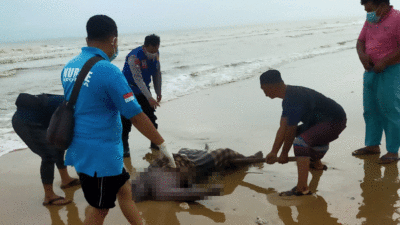 Nelayan Pamekasan Ditemukan Tewas di Pantai Dasuk Sumenep