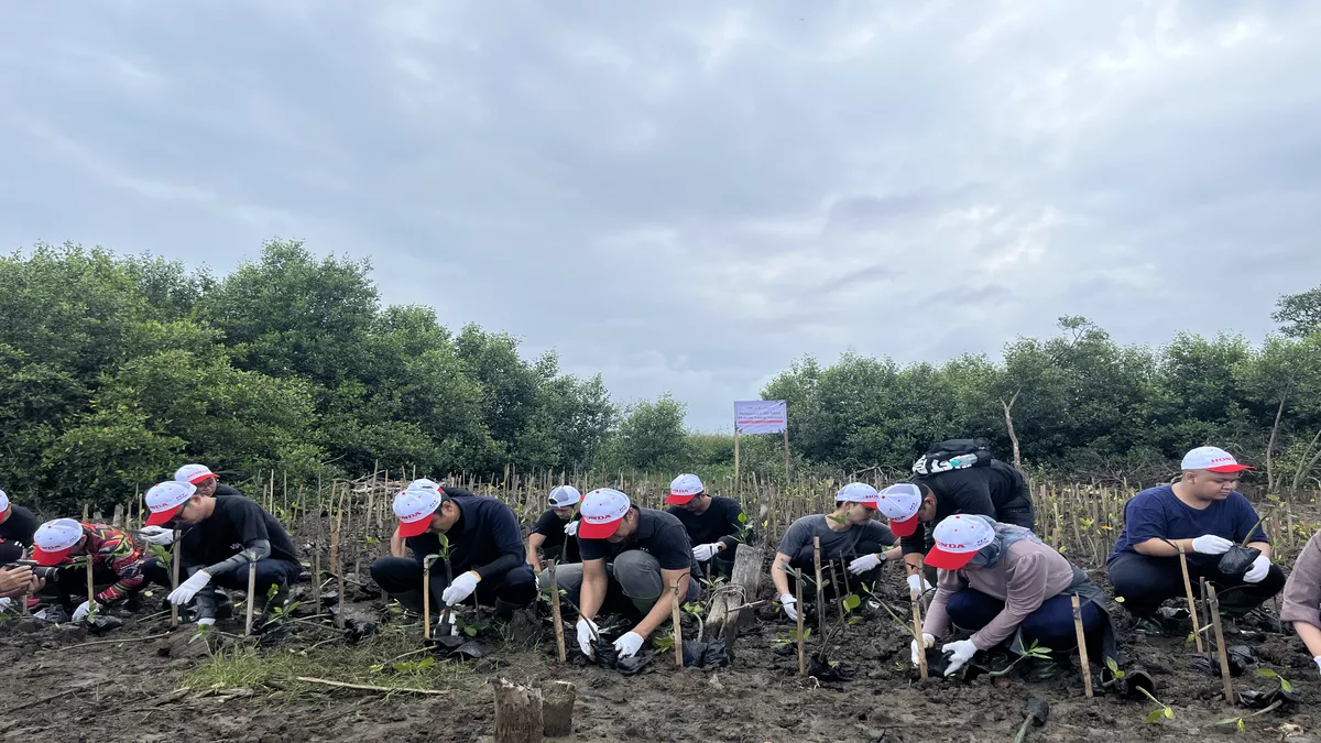 Csr Pt Honda Trading: Tanam 1.500 Mangrove Di Tangerang - Portalmadura.com CSR PT Honda Trading: Tanam 1.500 Mangrove di Tangerang