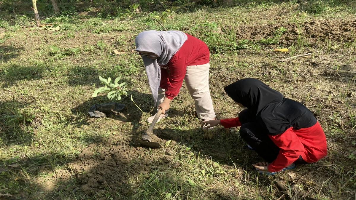 294 Alpukat Hijaukan Semarang Bersama LindungiHutan
