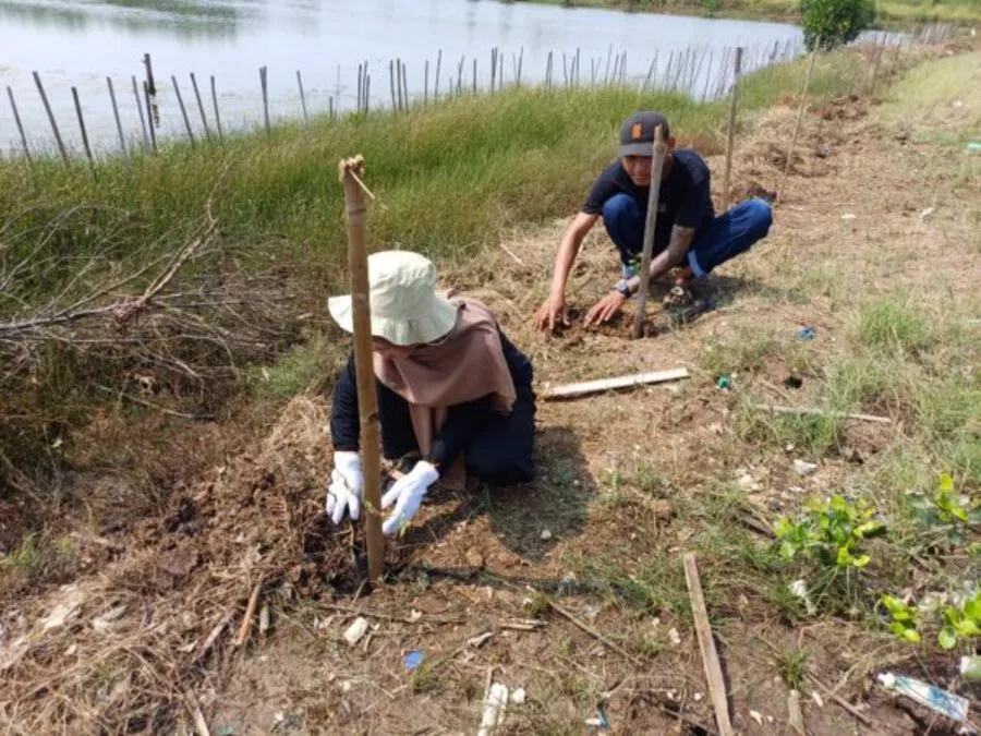 LindungiHutan Tanam 122 Ketapang Kencana di Tangerang