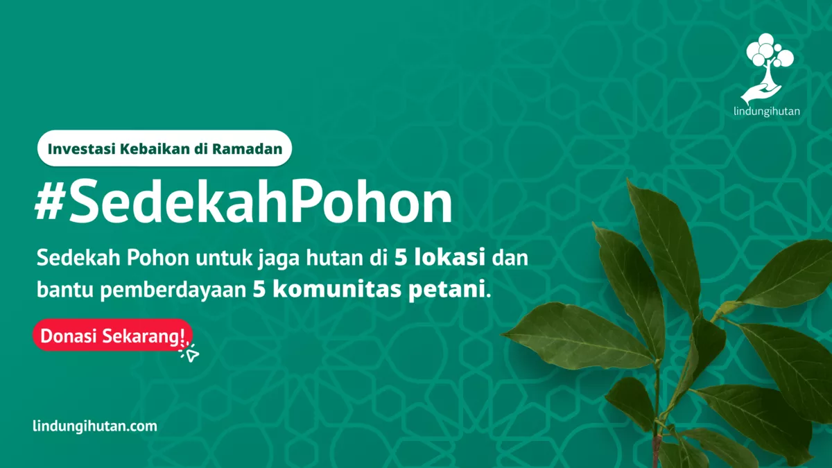Sedekah Pohon LindungiHutan: Mudahkan Berkontribusi di Ramadan