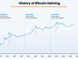 Analisis Tokocrypto: Potensi Dampak Halving Terhadap Harga Bitcoin