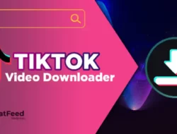 Unduh Video TikTok Secara Batch dengan Ssstiktok: Tips Menghemat Waktu