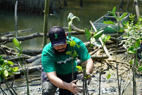 Pesan CEO LindungiHutan di Hari Lingkungan Hidup Sedunia