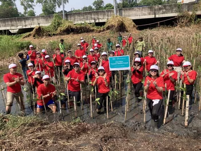 Yayasan WINGS Peduli dan LindungiHutan Tanam 500 Mangrove di  Jakarta Utara