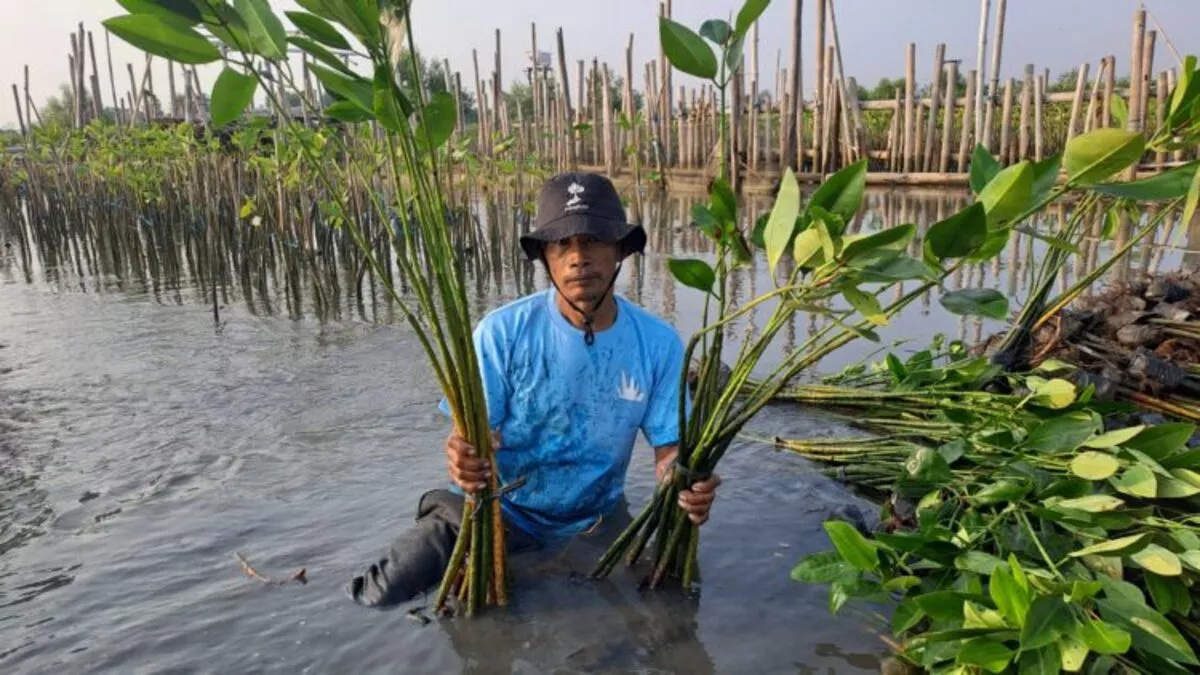 Upaya LindungiHutan di Tambakrejo untuk Keberlanjutan