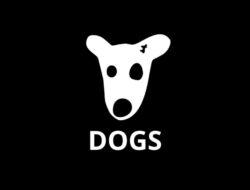 DOGS: Meme Coin Baru Saingan Hamster Kombat