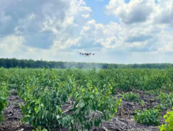 Drone Pertanian DJI Agras T20P Atasi Hama Eukaliptus