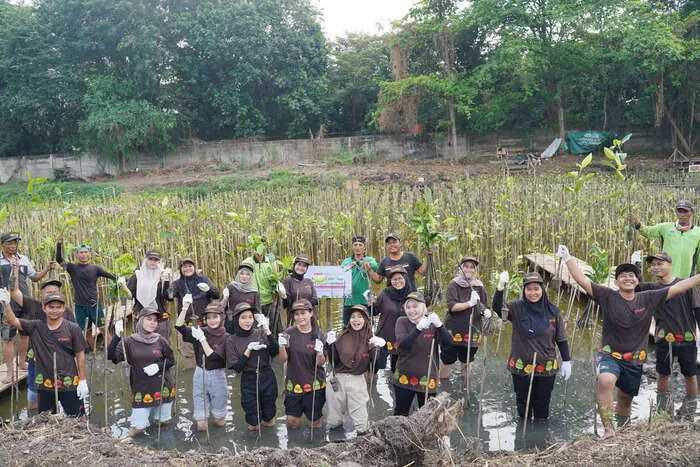 PT Pigeon Indonesia Tanam 1.000 Pohon Mangrove di Jakarta Utara