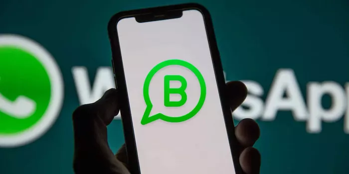 Syarat Mendapatkan WhatsApp Centang Hijau untuk Instansi Pemerintah di Indonesia