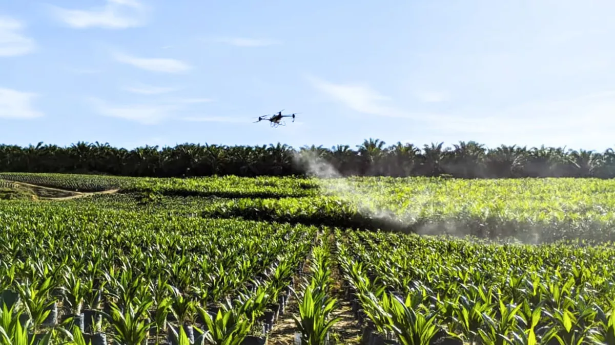 Halo Robotics Tingkatkan Efisiensi Pemupukan Sawit dengan Drone DJI Agras T40