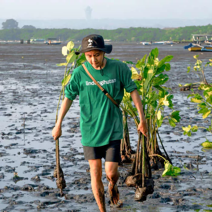 Kesuksesan LindungiHutan 2023: Ribuan Pohon, Jutaan Rupiah, dan Masa Depan Lebih Hijau