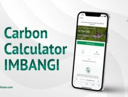 Aplikasi Penghitung Emisi Karbon Kini Bisa Disematkan di Website
