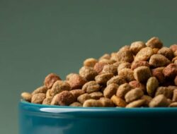 Royal Canin Kuasai Pasar Makanan Kucing di Awal 2024