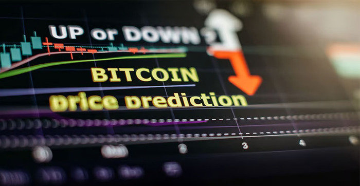Prospek Bitcoin di Bulan Agustus: Naik atau Turun?