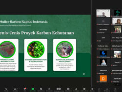 Kredit Karbon sebagai Solusi Bisnis Berkelanjutan di Tengah Krisis Emisi