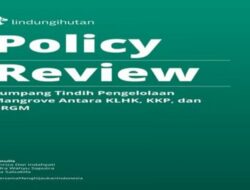 Evaluasi Kebijakan Pengelolaan Mangrove di Indonesia