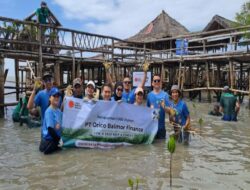 CSR PT Orico Balimor Finance: Penanaman 1.000 Mangrove di Surabaya