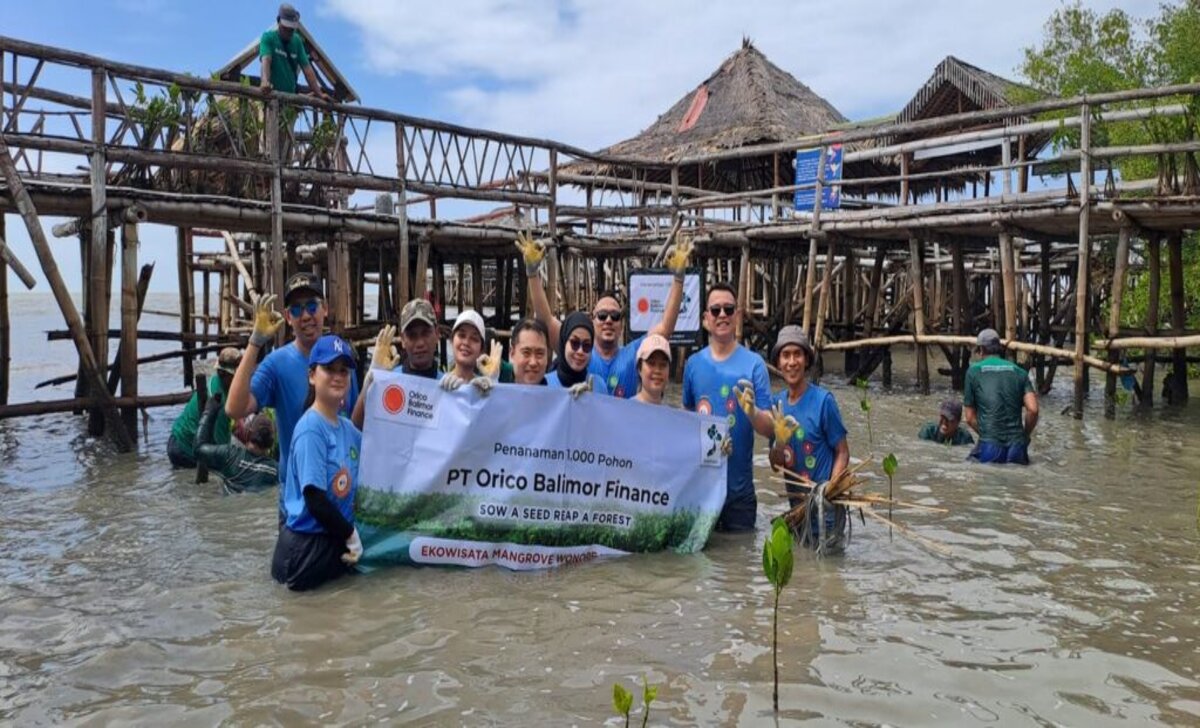 CSR PT Orico Balimor Finance: Penanaman 1.000 Mangrove di Surabaya