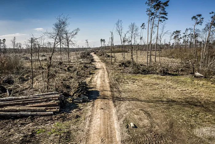 KOLTIVA Memperkenalkan Solusi Teknologi untuk Kepatuhan Anti-Deforestasi UE