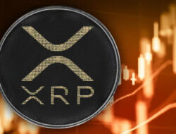 Perkembangan Harga XRP dan Potensinya Mencapai Puncak Baru