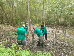 Mangrove Wonorejo Hadapi Masalah Sampah Serius