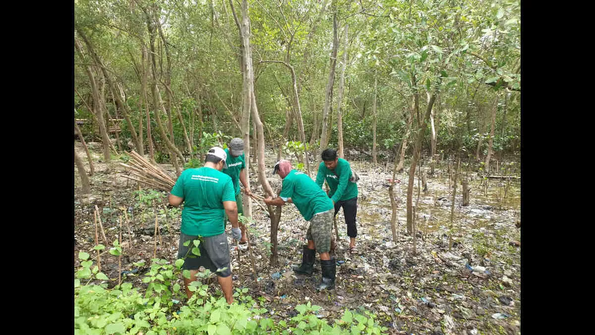 Mangrove Wonorejo Hadapi Masalah Sampah Serius - Portalmadura.com Dokumentasi Berita (Sumber: LindungiHutan)