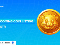 Hamster Kombat Siap Melantai di Bittime