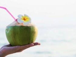 Fakta Tentang Minum Kelapa Muda Saat Haid