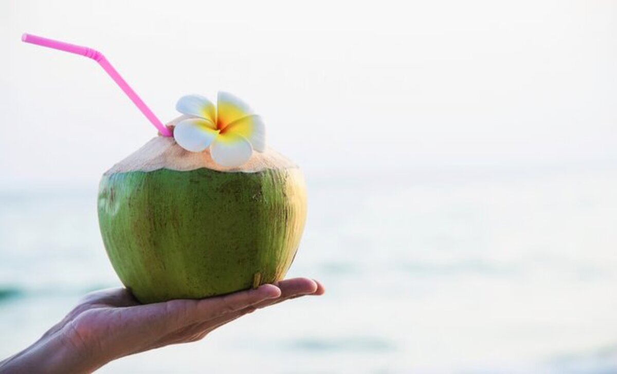 Fakta Tentang Minum Kelapa Muda Saat Haid
