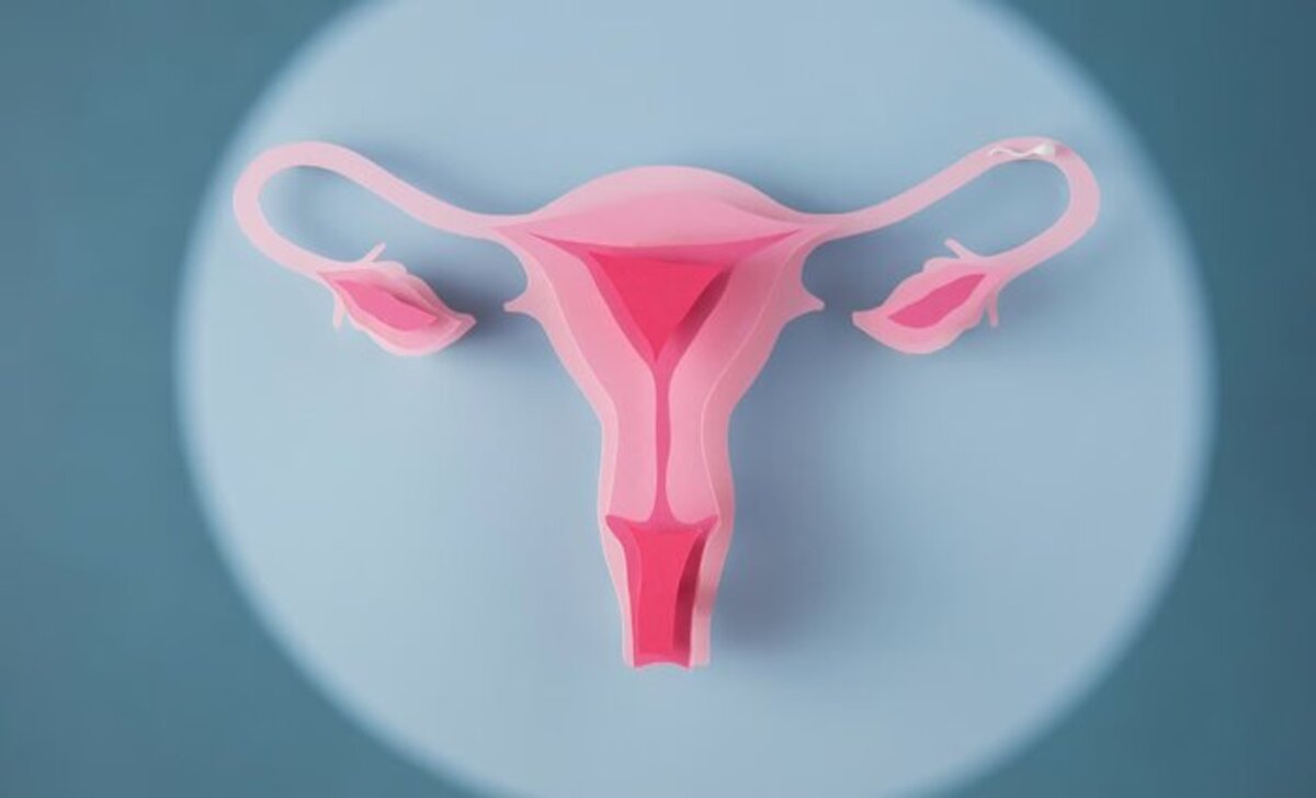 Waspadai Bahaya Inversio Uteri dan Gejalanya