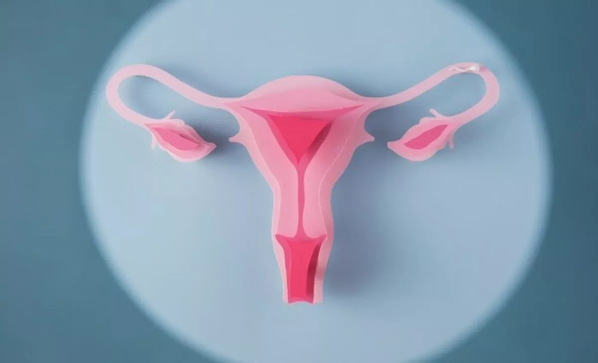 Waspadai Bahaya Inversio Uteri dan Gejalanya