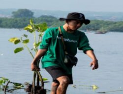 LindungiHutan Luncurkan Program POLUTREE untuk Pengurangan Emisi