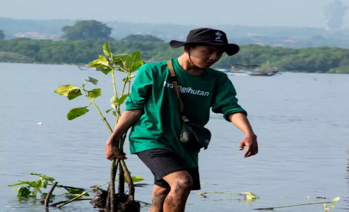 LindungiHutan Luncurkan Program POLUTREE untuk Pengurangan Emisi
