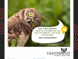 Talentsprintz: Solusi AI untuk Mengatasi Fenomena “Orang Dalam” dalam Rekrutmen