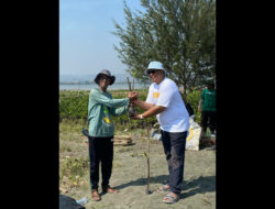 The Wujil Resort dan LindungiHutan Tanam 3.480 Mangrove