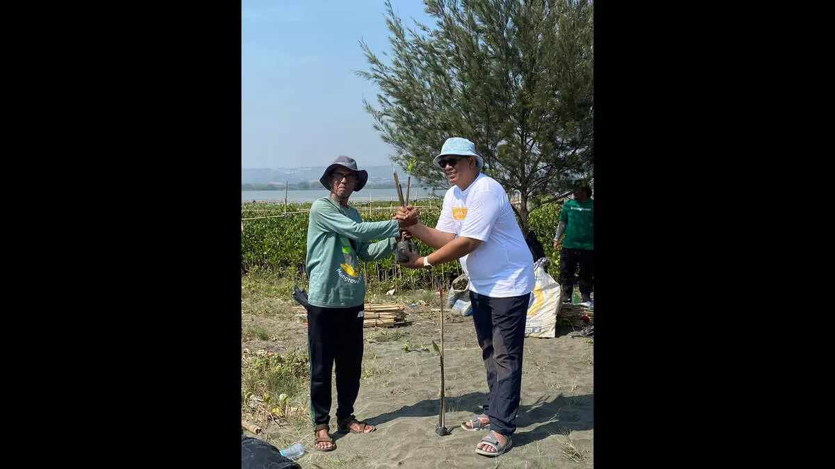 The Wujil Resort dan LindungiHutan Tanam 3.480 Mangrove