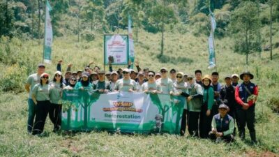 Reforestation WSBP: Komitmen Hijau untuk Masa Depan Berkelanjutan