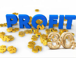 Strategi Meningkatkan Profit hingga 30% per Tahun
