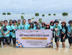 BRI Ventures Rayakan HUT BRI ke-129 dengan Penanaman Mangrove