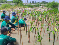 LindungiHutan: Solusi Kolaboratif untuk Aksi Hijau dan Iklim