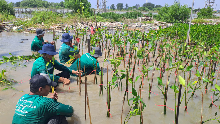 LindungiHutan: Solusi Kolaboratif untuk Aksi Hijau dan Iklim