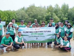 MAP dan MAPA Tanam 1.500 Mangrove di Pantai Bahagia Bersama LindungiHutan