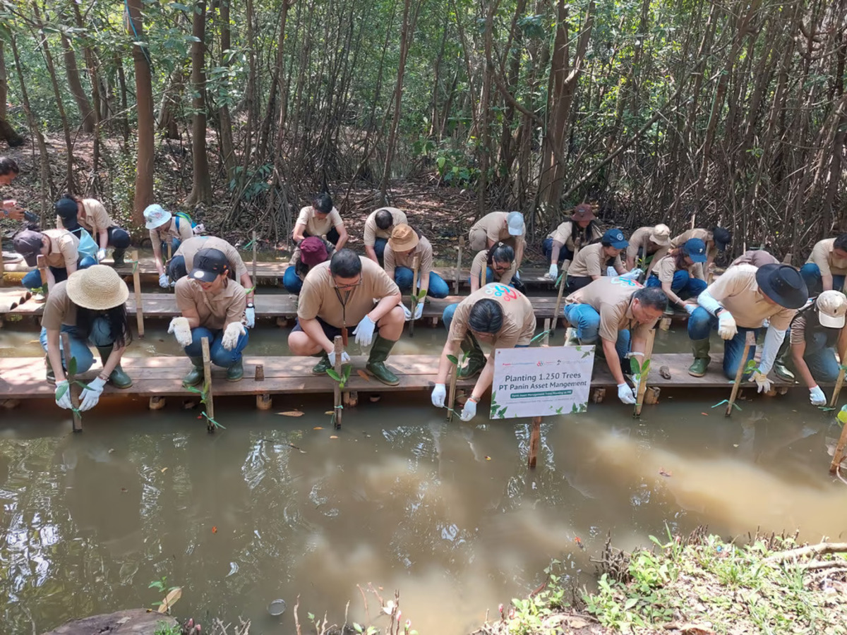 Program CSR PT Panin Asset Management Tanam Mangrove di PIK (Sumber : LindungiHutan)
