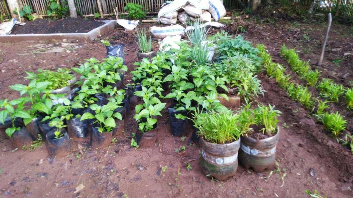 Transformasi Limbah dengan Kebun Galon (Sumber : Yayasan Bayi Prematur Indonesia)